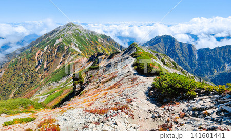 秋の針ノ木岳・蓮華岳登山（針ノ木岳～蓮華岳） 141601441