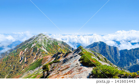 秋の針ノ木岳・蓮華岳登山(針ノ木岳~蓮華岳) 秋の針ノ木岳・蓮華岳登山(針ノ木岳~蓮華岳) 141601443