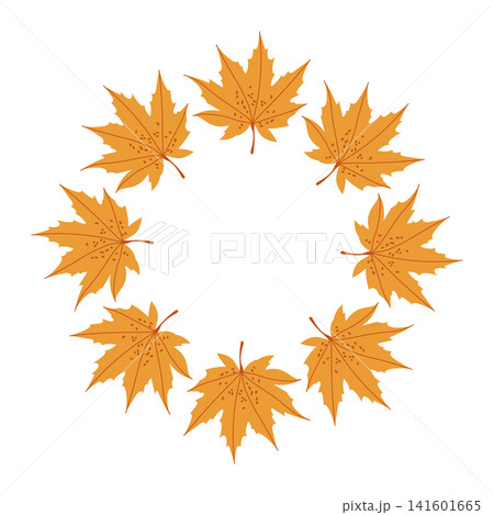 Golden maple leaves circular frame isolated on white background Golden maple leaves circular frame isolated on white background 141601665