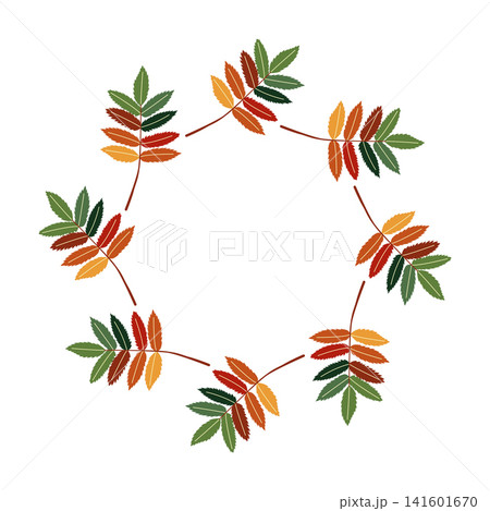 Colorful rowan leaves circular frame on white background 141601670