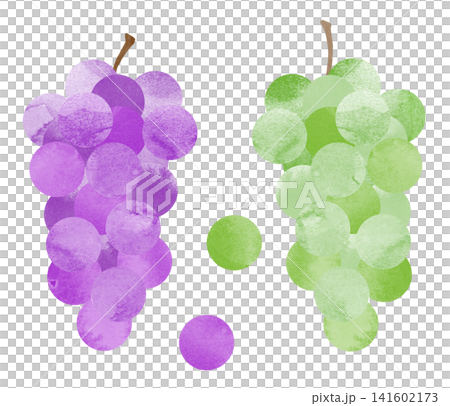 Grape cartoon Grape cartoon 141602173