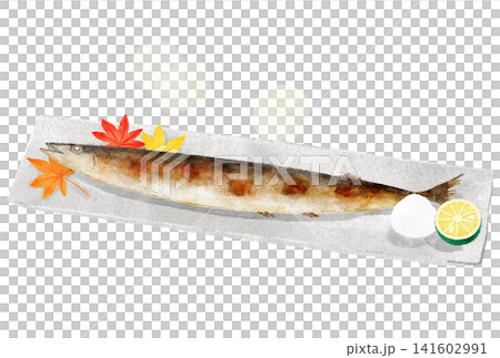 烤秋刀魚的水彩插圖 烤秋刀魚的水彩插圖 141602991
