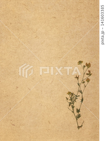 Minimal vintage paper background with single pressed wildflower and large copy space, featuring soft aged paper texture. Elegant textured rustic backdrop for botanical designs and creative layouts 141603385