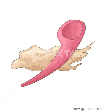 Illustration of Mask Spatula 141603516