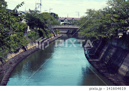 真間川 千葉県市川市 真間川 千葉県市川市 141604619