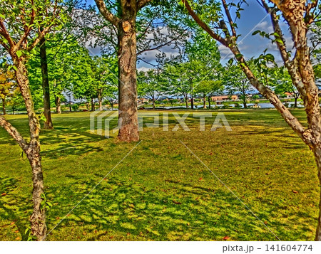 つつじが岡公園の風景-13 つつじが岡公園の風景-13 141604774