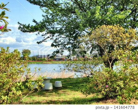 つつじが岡公園の風景-6 141604778