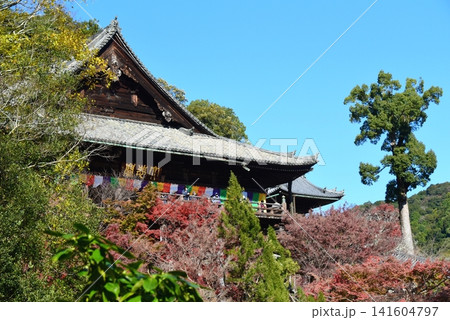 紅葉に包まれた長谷寺風景 紅葉に包まれた長谷寺風景 141604797
