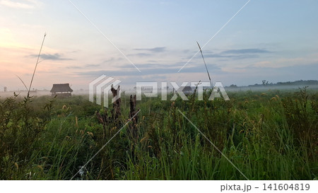 Misty Meadow Landscape with Wooden Huts at Sunrise Misty Meadow Landscape with Wooden Huts at Sunrise 141604819