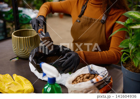 Gardener in apron adjusting soil in terracotta pot surrounded by vibrant indoor plants Gardener in apron adjusting soil in terracotta pot surrounded by vibrant indoor plants 141604936