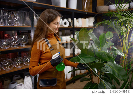 Caucasian woman in apron tending to indoor potted plants with nurturing touch in warm shop setting Caucasian woman in apron tending to indoor potted plants with nurturing touch in warm shop setting 141604948