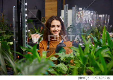 Focused caucasian woman in apron and gloves spraying indoor plants in nursery aisles Focused caucasian woman in apron and gloves spraying indoor plants in nursery aisles 141604950