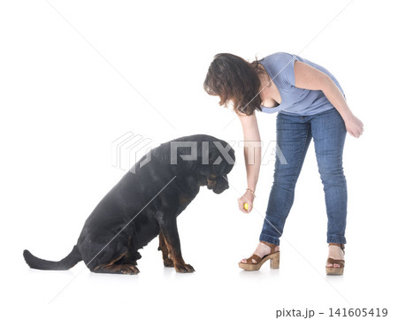 dog, owner and obedience 141605419