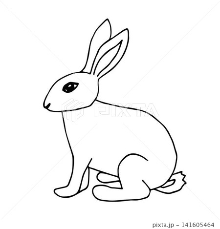 Hand drawn black outline vector cartoon doodle hare, easter bunny, rabbit isolated on white background. Design for children's coloring, prints of clothes, template, stickers, labels. Wildlife, forest Hand drawn black outline vector cartoon doodle hare, easter bunny, rabbit isolated on white background. Design for children's coloring, prints of clothes, template, stickers, labels. Wildlife, forest 141605464