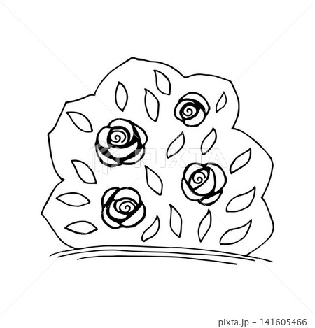 Hand-drawn simple vector illustration in black outline. A bush of rose flowers with leaves. Garden plant, landscaping, nature. 141605466