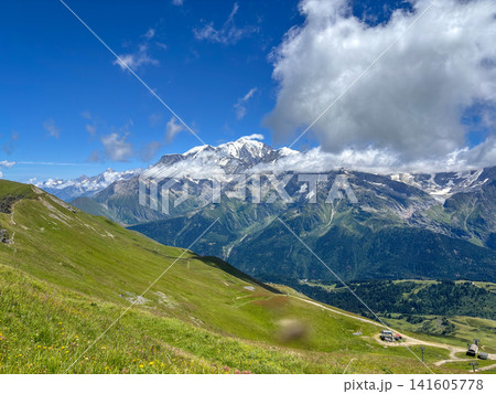 Mont Blanc massif view from alpine pastures of Les Contamines-Montjoie, France 141605778