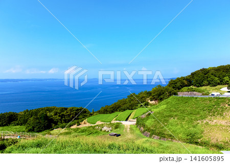 【香川】夏の豊島 海に飛び込む道と唐櫃・豊島の棚田 【香川】夏の豊島 海に飛び込む道と唐櫃・豊島の棚田 141605895