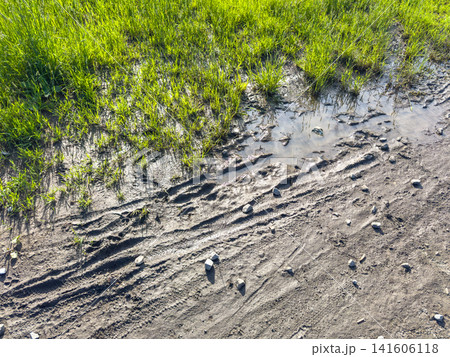 A wet dirt path shows distinct tire tracks leading through the landscape, bordered by lush green grass and small stones, creating a natural rural setting with clear visibility of the terrain A wet dirt path shows distinct tire tracks leading through the landscape, bordered by lush green grass and small stones, creating a natural rural setting with clear visibility of the terrain 141606118