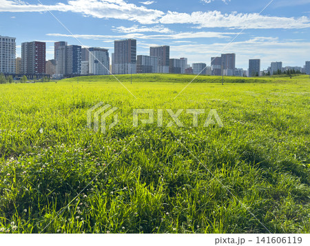 Urban skyline featuring tall buildings in the background with a lush green grass field in the foreground, illuminated by bright sunlight and set against a clear blue sky Urban skyline featuring tall buildings in the background with a lush green grass field in the foreground, illuminated by bright sunlight and set against a clear blue sky 141606119