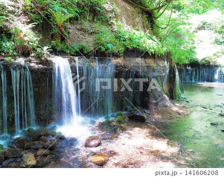 長野県 初夏の白糸の滝の景観 5月 長野県 初夏の白糸の滝の景観 5月 141606208