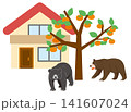 柿の木のある民家に現れた二頭の熊のイラスト 141607024