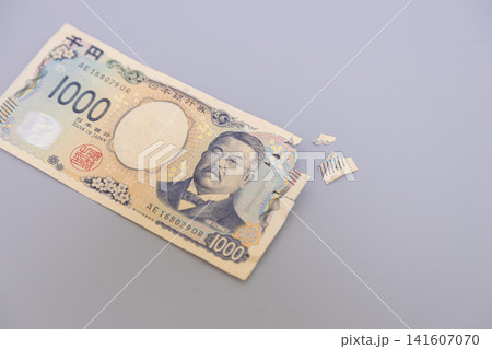 猫にかじられて破損した千円札 猫にかじられて破損した千円札 141607070