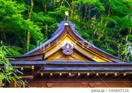 貴船神社 水の神様等のご利益：諸願成就,運気隆昌,縁結び,水難除け 141607114