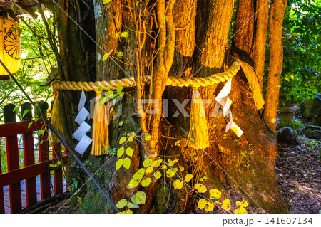 貴船神社 水の神様等のご利益：諸願成就,運気隆昌,縁結び,水難除け 141607134