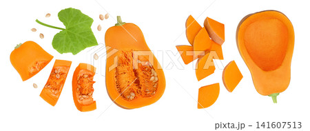 butternut squash slice isolated on white background with full depth of field. Top view. Flat lay butternut squash slice isolated on white background with full depth of field. Top view. Flat lay 141607513