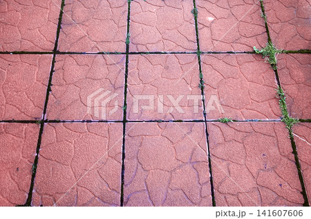 Concrete Paving Stones Partially Overgrown with Green Grass on Outdoor Walkway Concrete Paving Stones Partially Overgrown with Green Grass on Outdoor Walkway 141607606