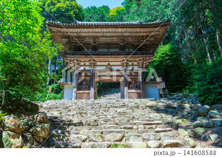 滋賀県近江八幡市 安土城址に残る摠見寺 仁王門 滋賀県近江八幡市 安土城址に残る摠見寺 仁王門 141608588