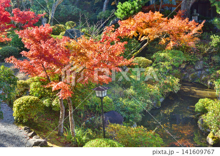 吉城園の紅葉 吉城園の紅葉 141609767