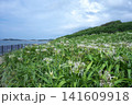 夏井ヶ浜はまゆう公園 141609918