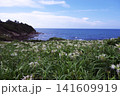 夏井ヶ浜はまゆう公園 141609919