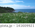 夏井ヶ浜はまゆう公園 141609921