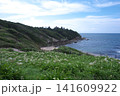 夏井ヶ浜はまゆう公園 141609922