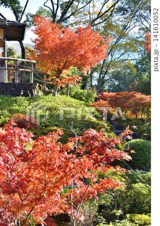 吉城園の紅葉 吉城園の紅葉 141610052