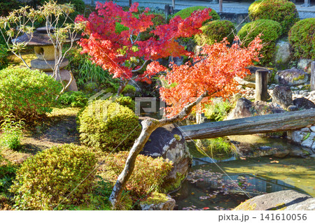吉城園の紅葉 吉城園の紅葉 141610056
