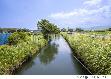 朝倉市堀川用水の風景 朝倉市堀川用水の風景 141610418