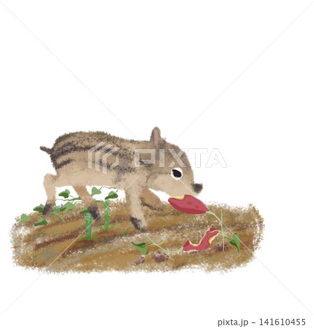 サツマイモをくわえたイノシシ 農作物被害・獣害・畑のかわいいイラスト サツマイモをくわえたイノシシ 農作物被害・獣害・畑のかわいいイラスト 141610455
