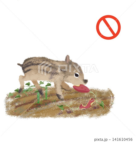 サツマイモをくわえたイノシシ　農作物被害・獣害・畑のかわいいイラスト　危険マーク 141610456