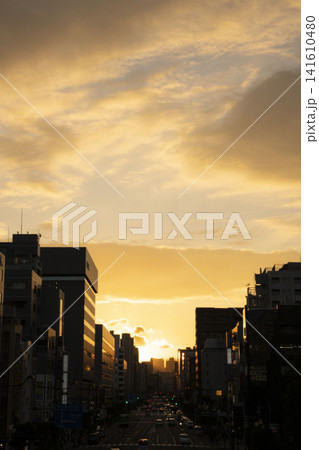 江東区東陽町の永代通りを染める美しい黄金色の夕焼けとビル群のシルエット 江東区東陽町の永代通りを染める美しい黄金色の夕焼けとビル群のシルエット 141610480