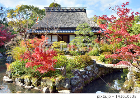 吉城園の紅葉と三秀亭 吉城園の紅葉と三秀亭 141610538