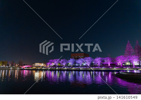 富山・富岩運河環水公園の鮮やかなライトアップと水面に映る幻想的な夜景 富山・富岩運河環水公園の鮮やかなライトアップと水面に映る幻想的な夜景 141610549