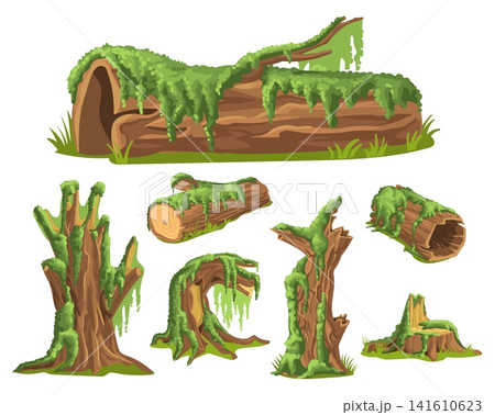 Moss covered stumps. Fluffy plants covering tree trunks. Wooden surfaces with green lichen. Morass creeping micro vegetation. Overgrown wood with oakmoss. Natural mossy branches vector set Moss covered stumps. Fluffy plants covering tree trunks. Wooden surfaces with green lichen. Morass creeping micro vegetation. Overgrown wood with oakmoss. Natural mossy branches vector set 141610623