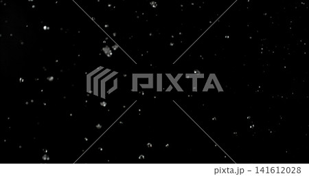High speed close up of falling rain droplets isolated on a black background creating a realistic weather VFX overlay perfect for cinematic compositing visual effects motion graphics and atmospheric High speed close up of falling rain droplets isolated on a black background creating a realistic weather VFX overlay perfect for cinematic compositing visual effects motion graphics and atmospheric 141612028