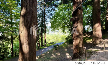 九十九折りの杉木立の緑陰〈関山中尊寺の参道「月見坂」/岩手県平泉町〉 141612364