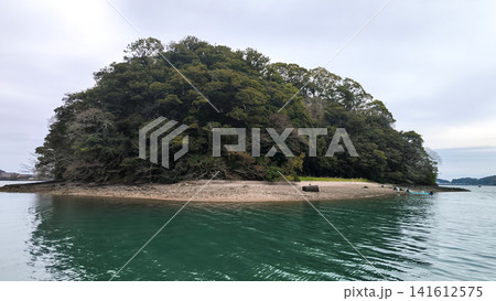 高知県　玉島 141612575