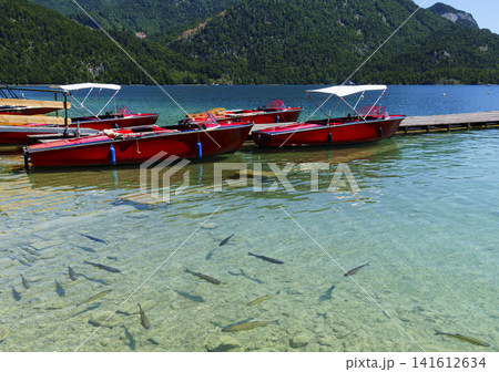Red boats and a school of fish near the shore on a clear mountain lake, illustrating a calm summer atmosphere in alpine regions. 141612634