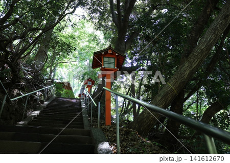 山の中にある神社の階段 山の中にある神社の階段 141612670